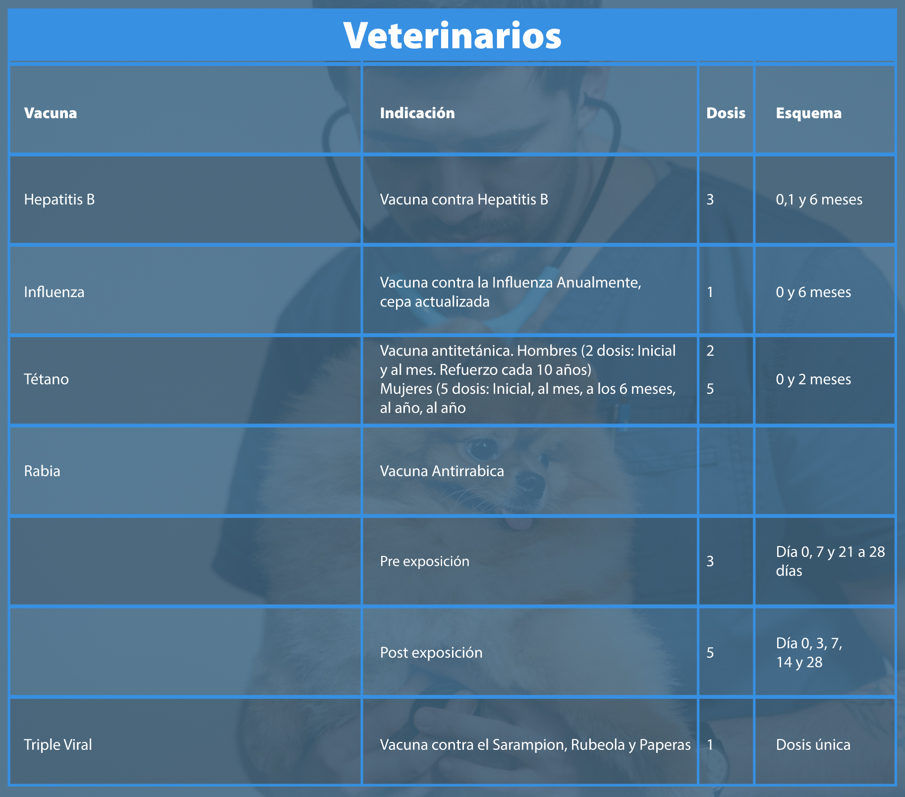 Esquema vacunación empresas veterinarios suplimed hospitalario